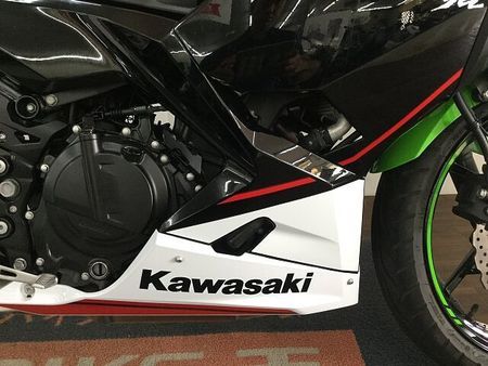 カワサキ ニンジャ 250 Ninja 250 低走行 28