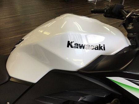 カワサキ Z250 Z250 2014年モデル キャリア付き 19