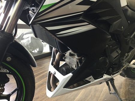 カワサキ Z250 Z250 2014年モデル キャリア付き 39
