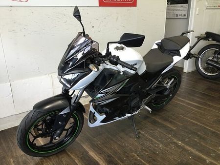 カワサキ Z250 Z250 2014年モデル キャリア付き 7