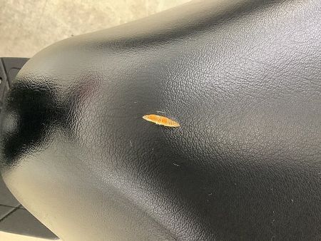 スズキ レッツ(4サイクル) レッツ 夏に向けてのバイク探しはお早めに☆コンパクトで乗りやすいところが人気の秘訣! 26