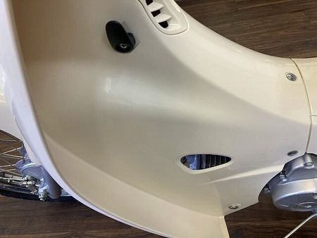 ホンダ スーパーカブ110プロ スーパーカブ110 ☆クラシックダウンマフラー付き☆ 29