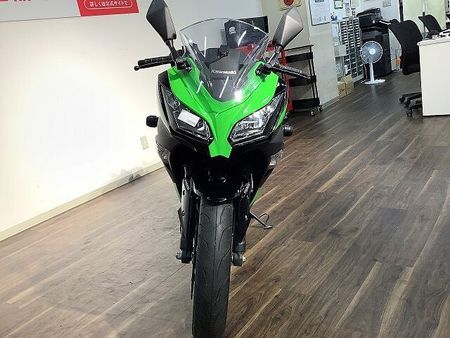 カワサキ ニンジャ 250 Ninja250 KRTエディション ★2016年モデル/フレームスライダー 35