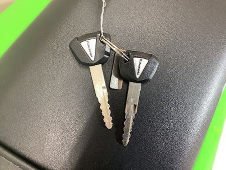 カワサキ ニンジャ 650 Ninja 650 2019年モデル/TRICK STARフルエキマフラー/ETC標準装備 9
