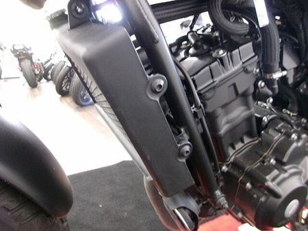 ホンダ レブル 250 REBEL 250 サイドバック付き/フルノーマル/2019年モデル 25