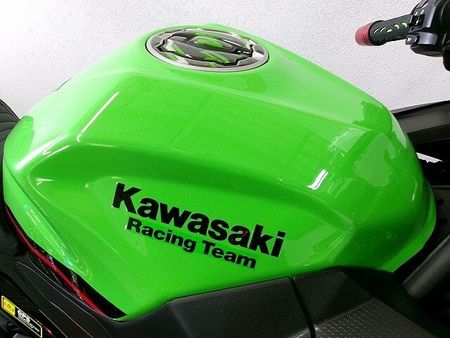 カワサキ ニンジャ 400 Ninja 400 ワンオーナー/フェンダーレス/WOLFLINE製シート/社外マフラー 17