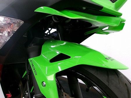 カワサキ ニンジャ 400 Ninja 400 ワンオーナー/フェンダーレス/WOLFLINE製シート/社外マフラー 23