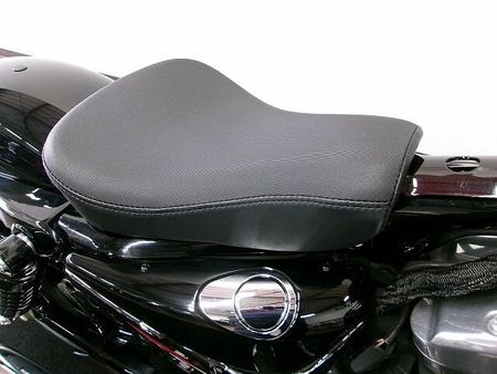 ハーレーダビッドソン XL1200X SPORTSTER FortyEight ★ XL1200X ★ Sportster 1200X Forty-eight エンジンガ 14
