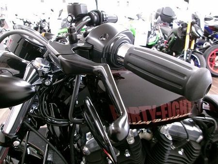 ハーレーダビッドソン XL1200X SPORTSTER FortyEight ★ XL1200X ★ Sportster 1200X Forty-eight エンジンガ 38
