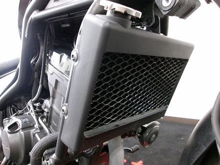 ホンダ レブル 250 REBEL 250 サイドバック・ステー装備/ノーマル車/2019年!! 34