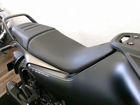 ハスクバーナ SVARTPILEN 401 SVARTPILEN 401 ヘッドライトカバー付/バーエンドミラーカスタム 14