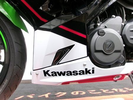 カワサキ ニンジャ 400 Ninja 400 OVERJMCA認可マフラー装備/フェンダーレス/スライダー装備 17