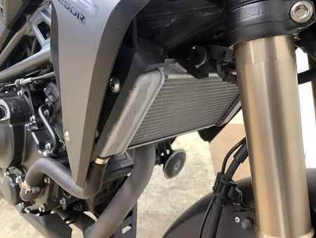 ホンダ CB250R CB250R 2019年モデル ワンオーナー車両 レバー バーエンドカスタム 33