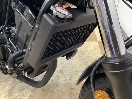 ホンダ レブル 250 レブル250 2020年モデル デイトナ製リアキャリア装備 36