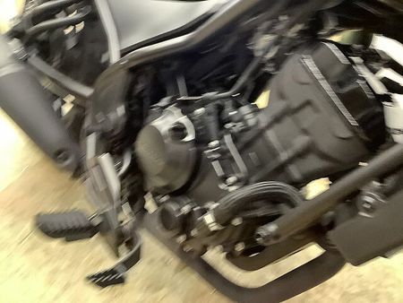 ホンダ レブル 250 レブル250 2020年モデル デイトナ製リアキャリア装備 39