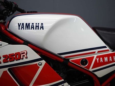 ヤマハ RZ250R RZ250RR 51L0 オプション・アンダーカウル/シングルシートカバー装備 14