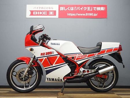 ヤマハ RZ250R RZ250RR 51L0 オプション・アンダーカウル/シングルシートカバー装備 4