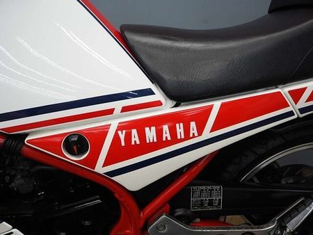 ヤマハ RZ250R RZ250RR 51L0 オプション・アンダーカウル/シングルシートカバー装備 39