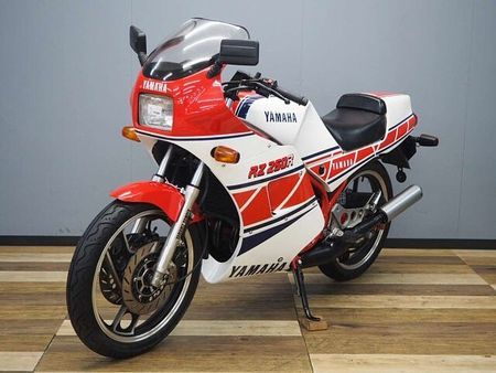 ヤマハ RZ250R RZ250RR 51L0 オプション・アンダーカウル/シングルシートカバー装備 5