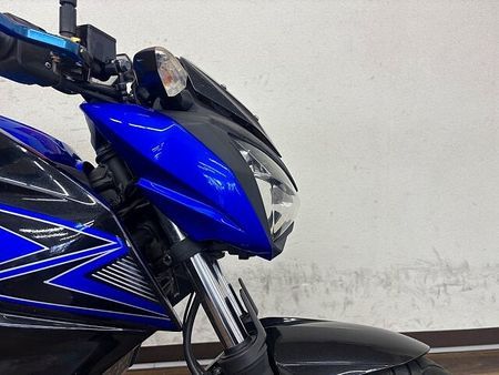 カワサキ Z250 Z250 コスパ最強 2015年モデル 28