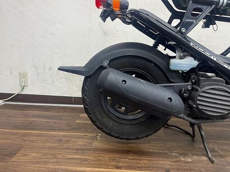 ホンダ ズーマー ズーマー いわずと知れた人気者 2004年モデル 19