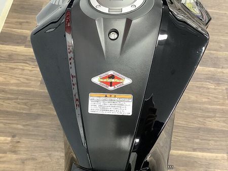 ホンダ CB250R 【マル得】CB250R ABS 2019年モデル EFFEXローダウンKIT装備 29
