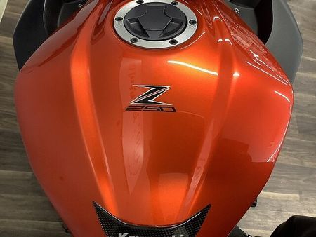 カワサキ Z250 Z250 2014年モデル ドラレコ付き5インチスマートモニター GIVI製Rボックス装備 28