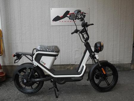 その他 その他 在庫1台限りの価格です。 1