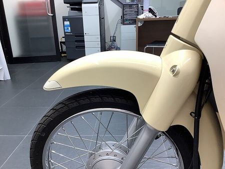 ホンダ スーパーカブ110プロ スーパーカブ110 リアボックス マルチバー装備 24