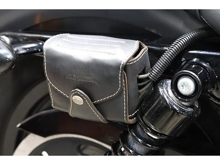ハーレーダビッドソン XL883N SPORTSTER IRON 11