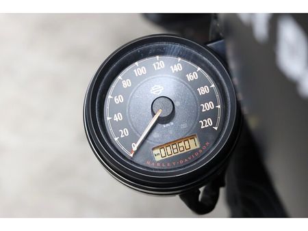 ハーレーダビッドソン XL883N SPORTSTER IRON 19