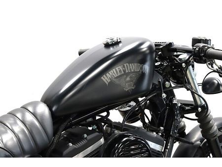 ハーレーダビッドソン XL883N SPORTSTER IRON 11