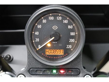 ハーレーダビッドソン XL1200NS SPORTSTER IRON1200 13