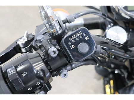 カワサキ W800 メールでお問い合わせの際は、ronajapan.shiki@gmail.com まで! 29
