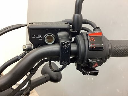 ホンダ レブル 250 REBEL 250 ABS 2023年/2023年製造車モデル フルノーマル 37