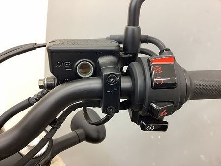 ホンダ レブル 250 REBEL 250 ABS 2023年/2023年製造車モデル フルノーマル 38