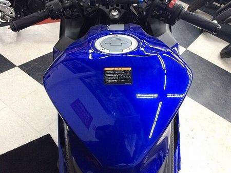 ヤマハ YZF-R25 YZF-R25 ABS【Rキャリア★フェンダーレス】 35