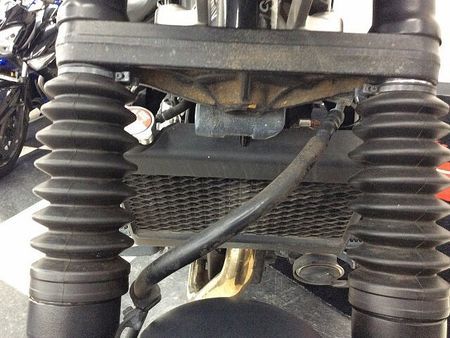 ホンダ レブル 250 レブル250【モリワキマフラー(認証マフラー)・Rキャリア】 20