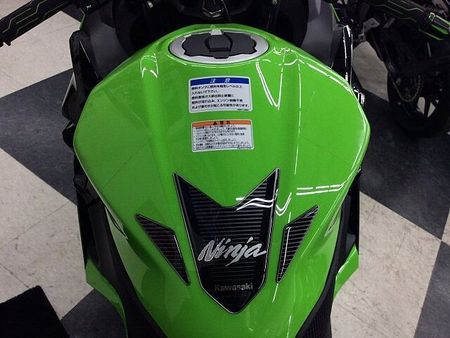 カワサキ ニンジャ 250 NINJA250【バックステップ・USB電源・マルチバー・ウィンカーカスタム】 37