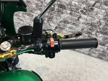 カワサキ W800 W800 レバー サイドバック マルチバー グラムバー ウインカー ビキニカウル マフラー 22