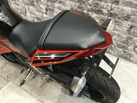 カワサキ ニンジャ 250 NINJA250 ヨシムラマフラー USB電源 スクリーン フェンダーレス マルチバー メ 29