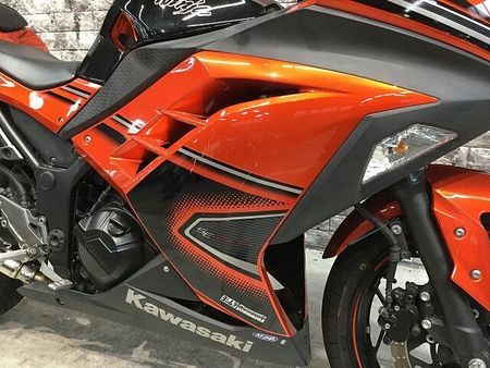 カワサキ ニンジャ 250 NINJA250 ヨシムラマフラー USB電源 スクリーン フェンダーレス マルチバー メ 8