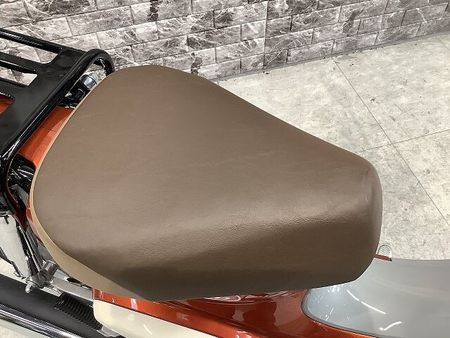ホンダ スーパーカブ110プロ 【マル得車輌】スーパーカブ110 USB電源2口 レッグシールドカスタム!! 15