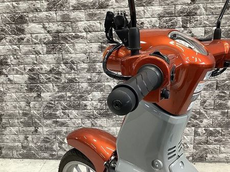 ホンダ スーパーカブ110プロ 【マル得車輌】スーパーカブ110 USB電源2口 レッグシールドカスタム!! 38