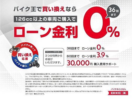カワサキ W800 CAFE 【スピード納車】W800カフェ 2022年モデル エンジンガード グリップヒーター バック 4