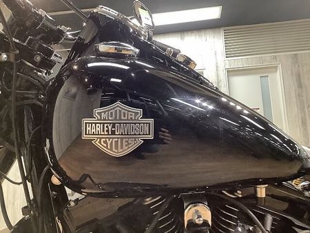 ハーレーダビッドソン FLSS SOFTAIL SLIM S FLSS1800ソフテイルスリムS◇エンジンガード◇サドルバックサポート!! 10
