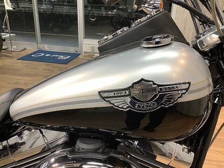 ハーレーダビッドソン FXDL-I DYNA LOWRIDER FXDL1450ダイナローライダー■100周年限定モデル!! 13
