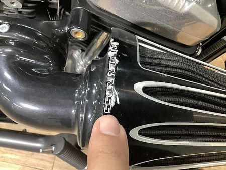 ハーレーダビッドソン XL1200X SPORTSTER FortyEight XL1200Xフォーティエイト■アレンネスエアクリーナー■デタッチャブルシーシーバー 29