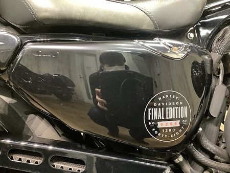 ハーレーダビッドソン XL1200X SPORTSTER FortyEight XL1200Xフォーティエイト■アレンネスエアクリーナー■デタッチャブルシーシーバー 35