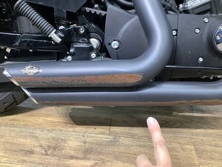 ハーレーダビッドソン XL1200X SPORTSTER FortyEight XL1200Xフォーティエイト■アレンネスエアクリーナー■デタッチャブルシーシーバー 36